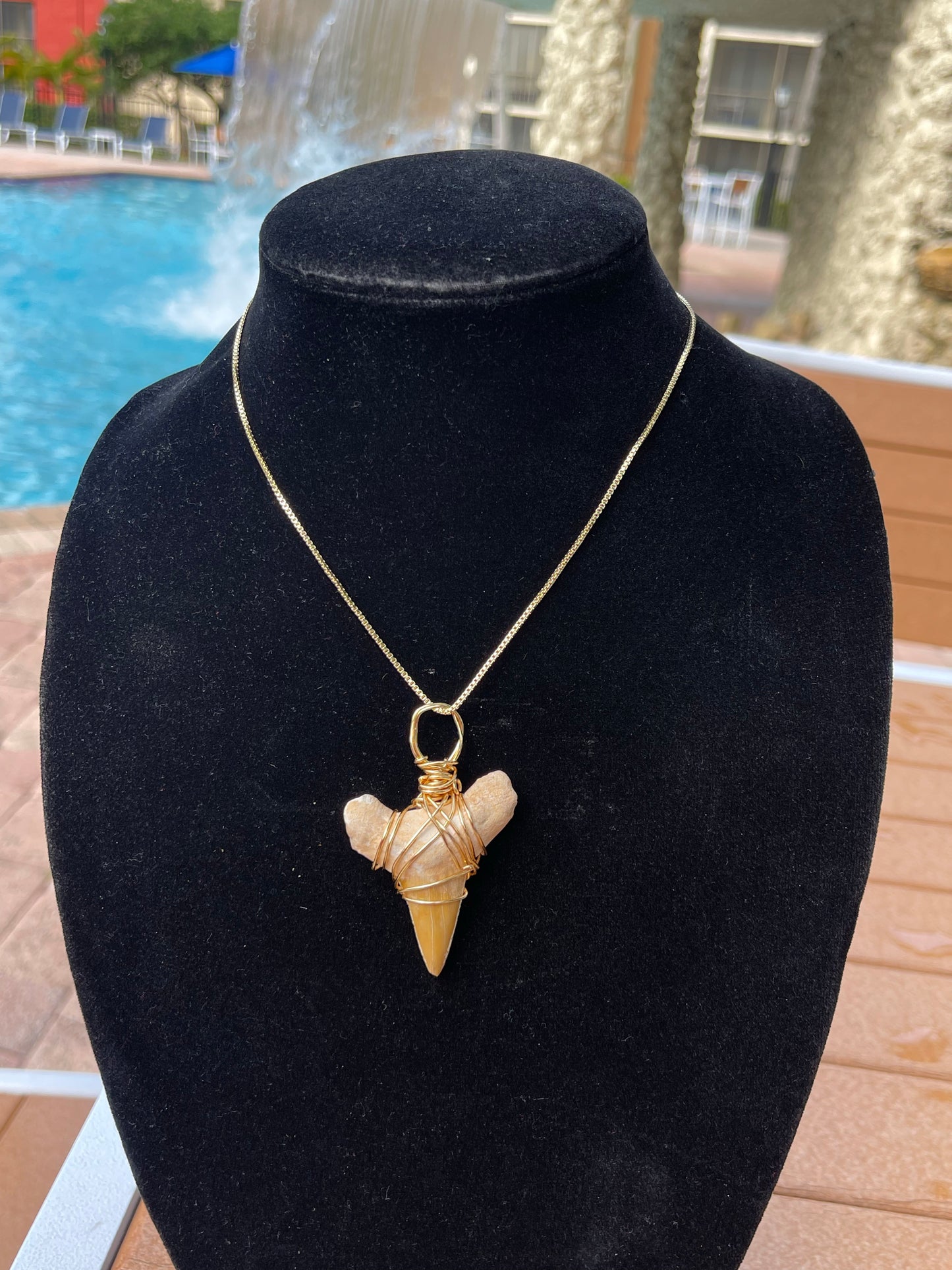 Wrapped Shark Tooth